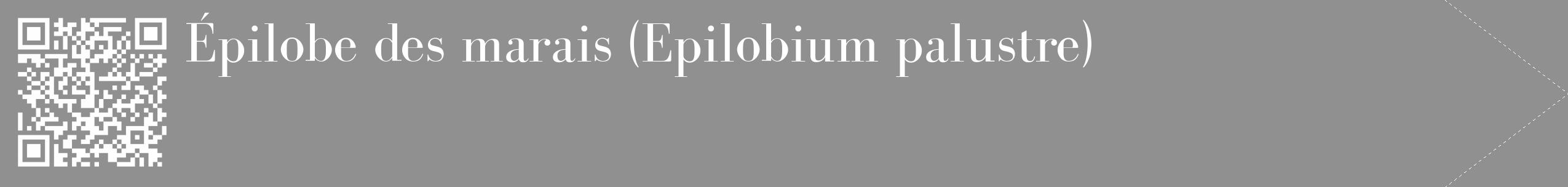 Étiquette de : Epilobium palustre - format c - style blanche4_simple_simplebod avec qrcode et comestibilité