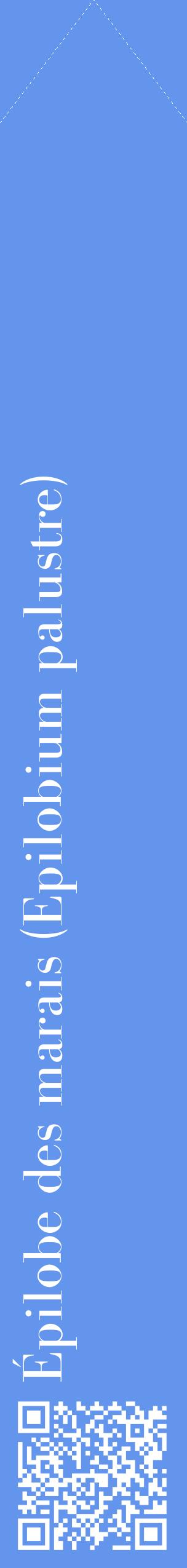 Étiquette de : Epilobium palustre - format c - style blanche4_simplebod avec qrcode et comestibilité