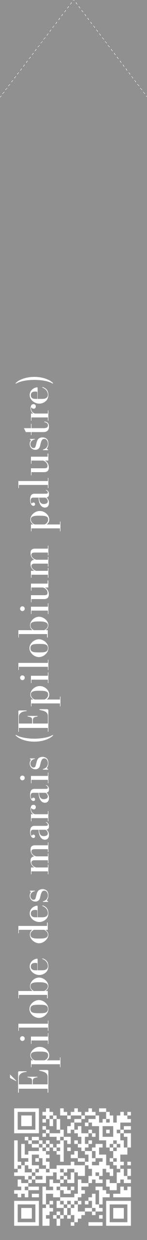 Étiquette de : Epilobium palustre - format c - style blanche4_simple_simplebod avec qrcode et comestibilité - position verticale