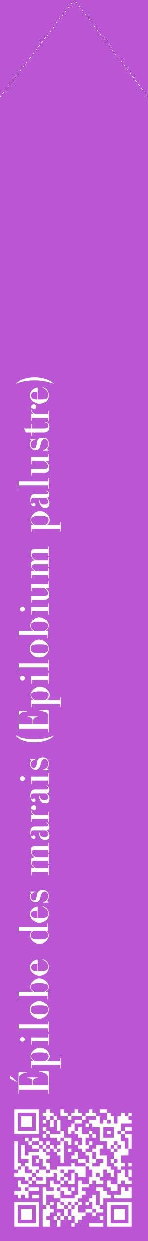 Étiquette de : Epilobium palustre - format c - style blanche50_simplebod avec qrcode et comestibilité