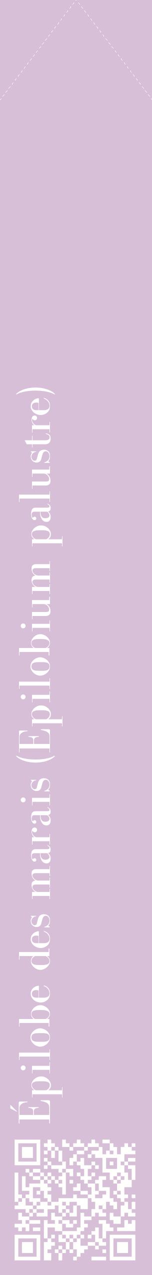 Étiquette de : Epilobium palustre - format c - style blanche54_simplebod avec qrcode et comestibilité