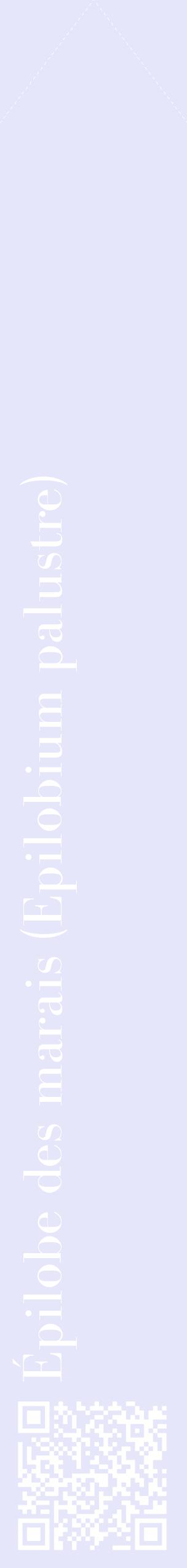 Étiquette de : Epilobium palustre - format c - style blanche55_simplebod avec qrcode et comestibilité