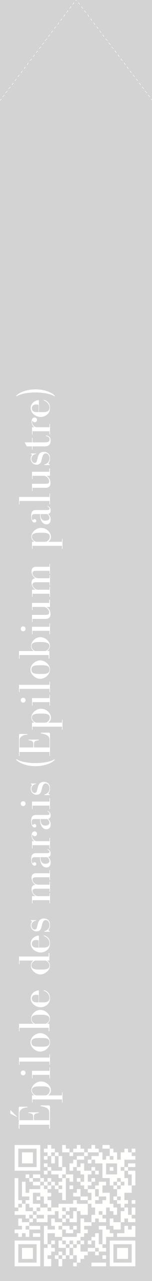 Étiquette de : Epilobium palustre - format c - style blanche56_simplebod avec qrcode et comestibilité