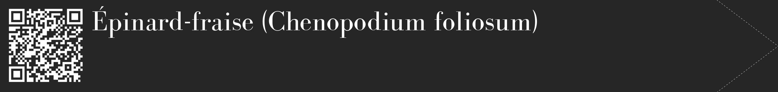 Étiquette de : Chenopodium foliosum - format c - style blanche29_simple_simplebod avec qrcode et comestibilité