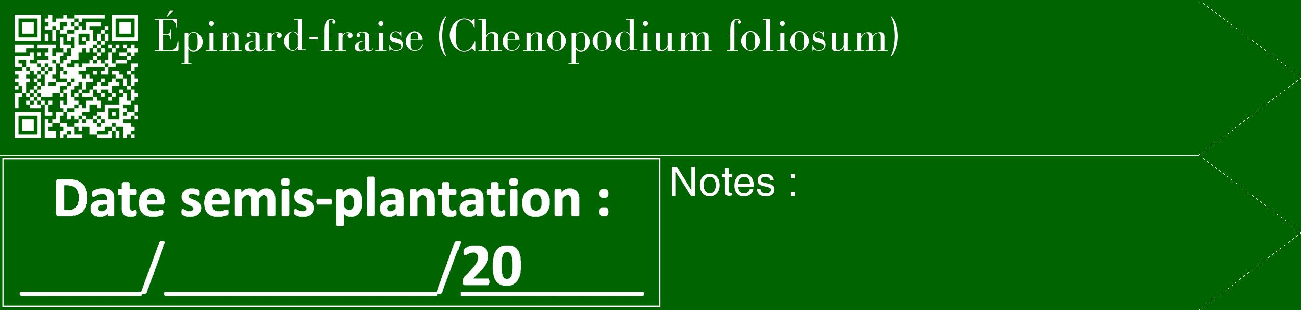 Étiquette de : Chenopodium foliosum - format c - style blanche8_simple_simplebod avec qrcode et comestibilité