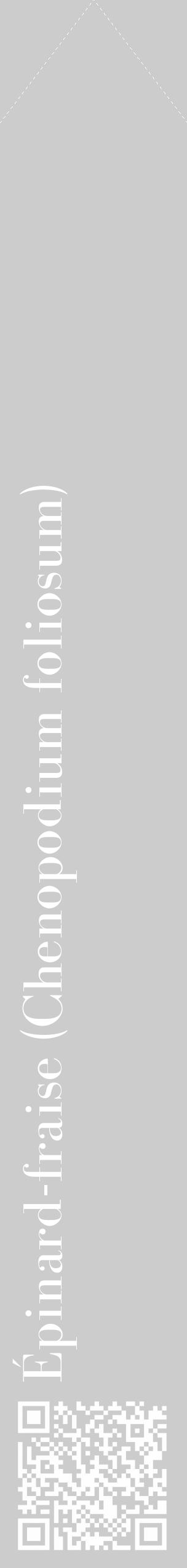 Étiquette de : Chenopodium foliosum - format c - style blanche0_simple_simplebod avec qrcode et comestibilité - position verticale