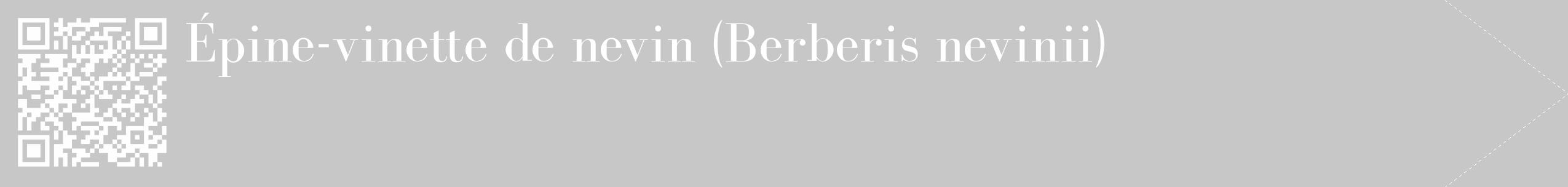 Étiquette de : Berberis nevinii - format c - style blanche15_simple_simplebod avec qrcode et comestibilité