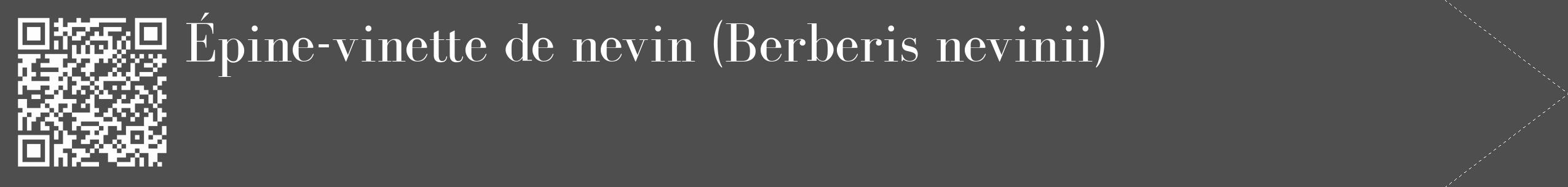 Étiquette de : Berberis nevinii - format c - style blanche33_simple_simplebod avec qrcode et comestibilité