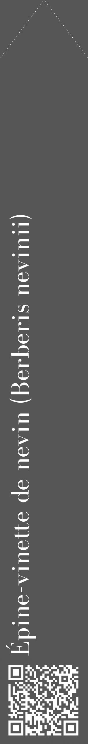 Étiquette de : Berberis nevinii - format c - style blanche45_simple_simplebod avec qrcode et comestibilité - position verticale