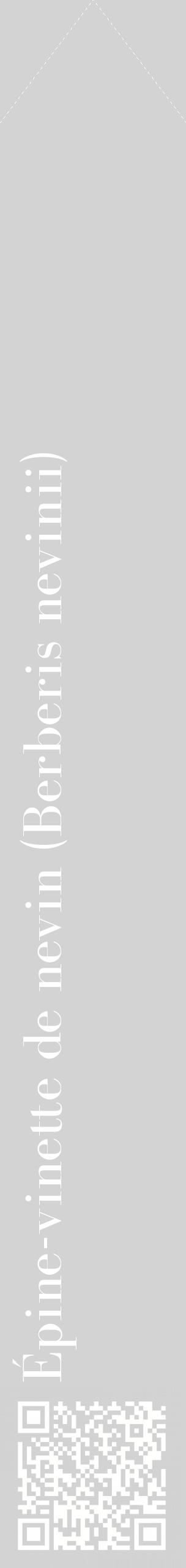 Étiquette de : Berberis nevinii - format c - style blanche56_simplebod avec qrcode et comestibilité