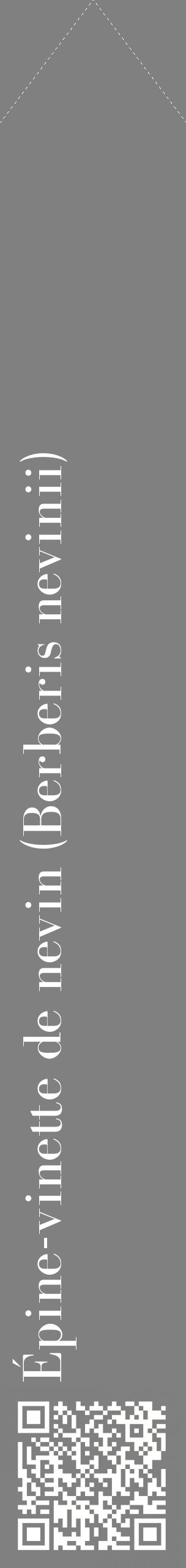 Étiquette de : Berberis nevinii - format c - style blanche57_simplebod avec qrcode et comestibilité