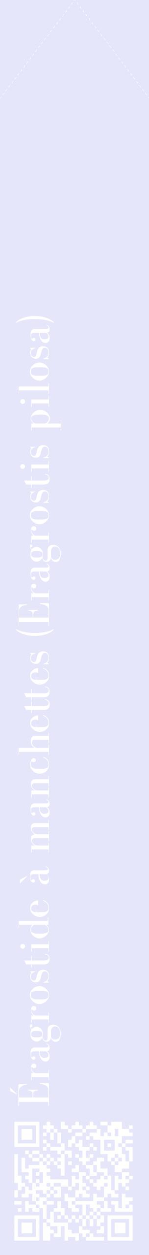 Étiquette de : Eragrostis pilosa - format c - style blanche55_simplebod avec qrcode et comestibilité