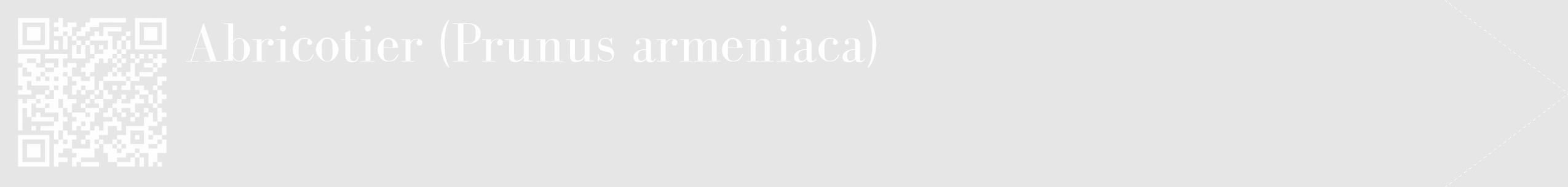 Étiquette de : Prunus armeniaca - format c - style blanche18_simple_simplebod avec qrcode et comestibilité