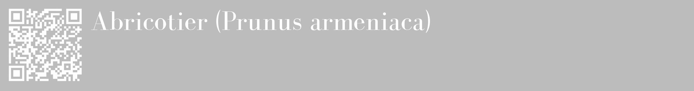 Étiquette de : Prunus armeniaca - format c - style blanche1_basique_basiquebod avec qrcode et comestibilité
