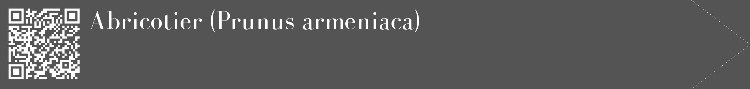 Étiquette de : Prunus armeniaca - format c - style blanche36_simple_simplebod avec qrcode et comestibilité