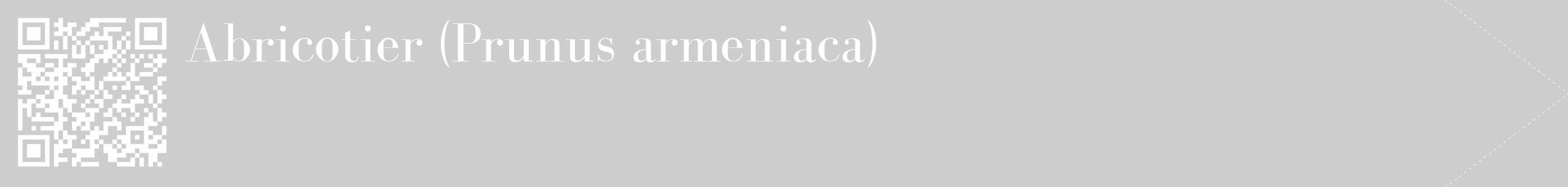 Étiquette de : Prunus armeniaca - format c - style blanche41_simple_simplebod avec qrcode et comestibilité