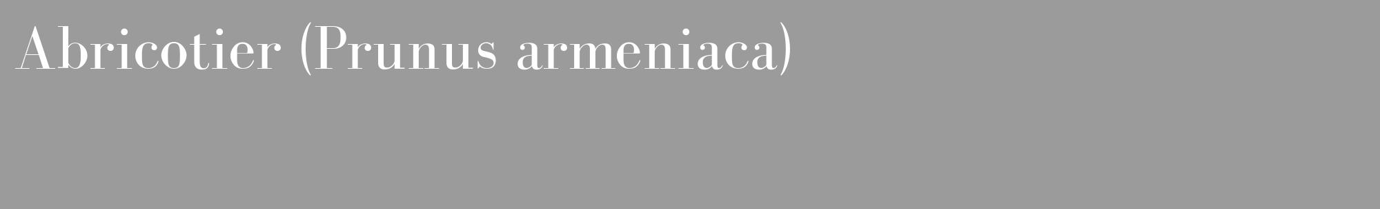 Étiquette de : Prunus armeniaca - format c - style blanche52_basique_basiquebod avec comestibilité