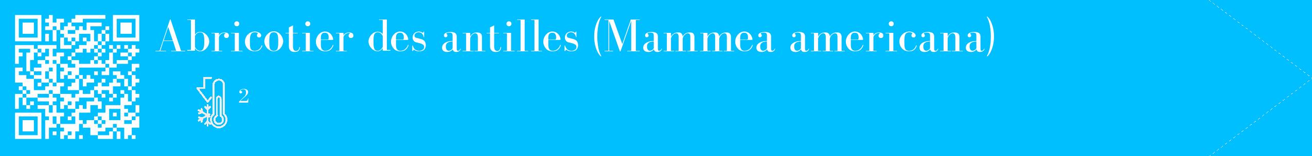 Étiquette de : Mammea americana - format c - style blanche2_simple_simplebod avec qrcode et comestibilité