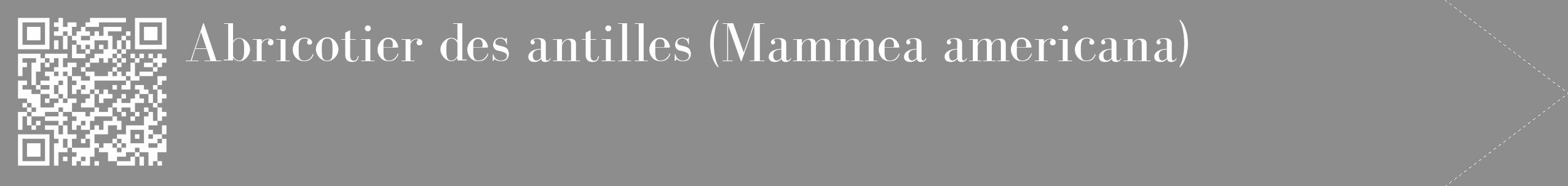 Étiquette de : Mammea americana - format c - style blanche2_simple_simplebod avec qrcode et comestibilité