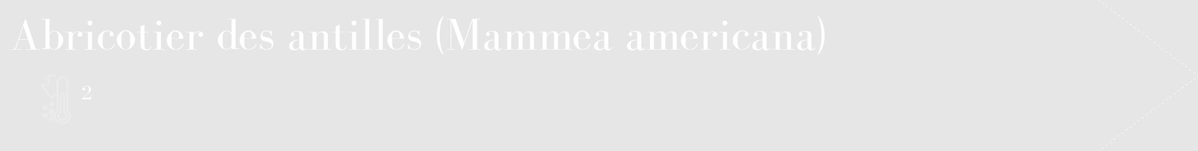 Étiquette de : Mammea americana - format c - style blanche18_simple_simplebod avec comestibilité