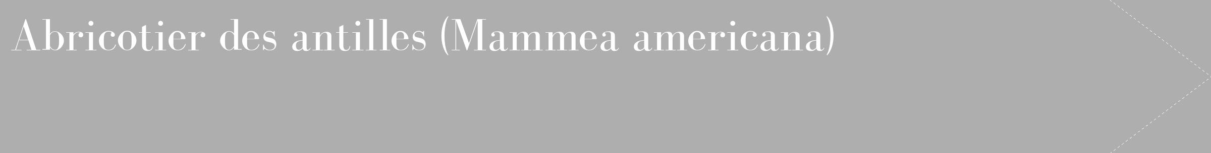 Étiquette de : Mammea americana - format c - style blanche53_simple_simplebod avec comestibilité