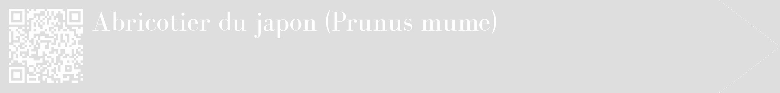 Étiquette de : Prunus mume - format c - style blanche20_simple_simplebod avec qrcode et comestibilité