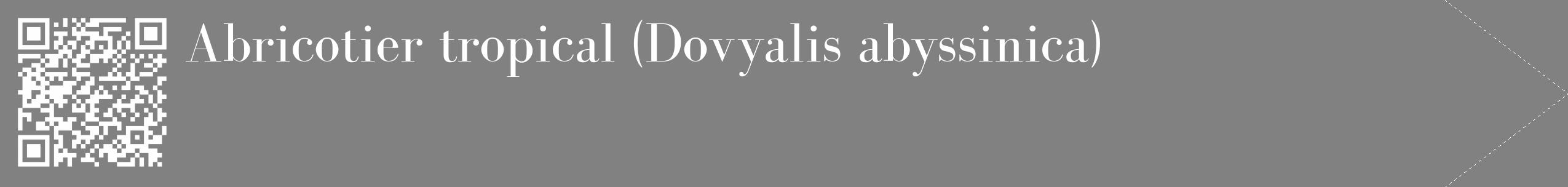 Étiquette de : Dovyalis abyssinica - format c - style blanche50_simple_simplebod avec qrcode et comestibilité