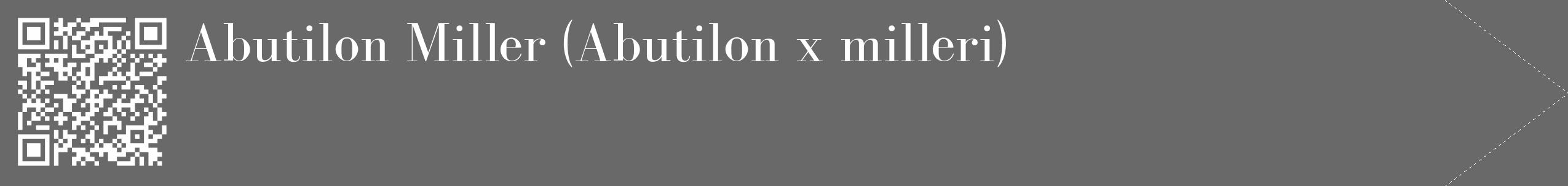 Étiquette de : Abutilon x milleri - format c - style blanche11_simple_simplebod avec qrcode et comestibilité