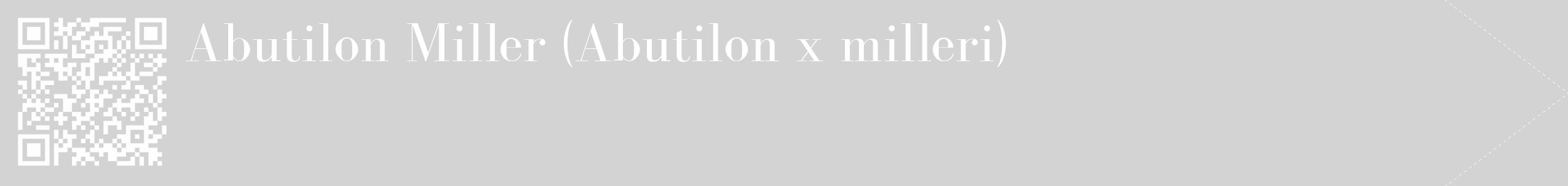 Étiquette de : Abutilon x milleri - format c - style blanche56_simple_simplebod avec qrcode et comestibilité