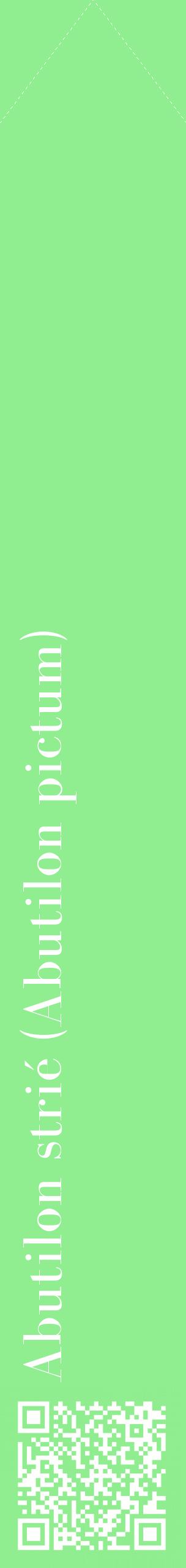 Étiquette de : Abutilon pictum - format c - style blanche15_simplebod avec qrcode et comestibilité