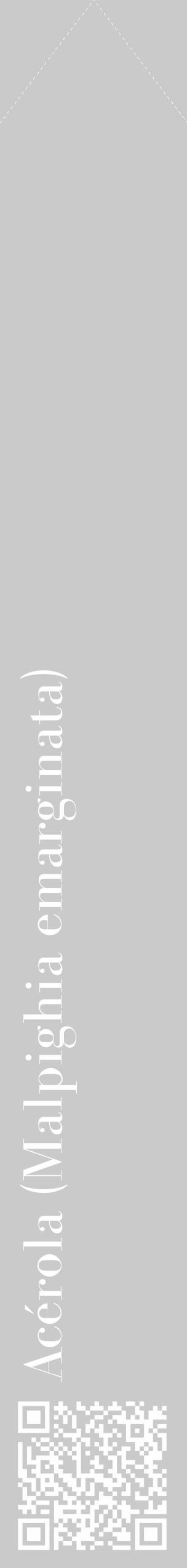 Étiquette de : Malpighia emarginata - format c - style blanche21_simple_simplebod avec qrcode et comestibilité - position verticale