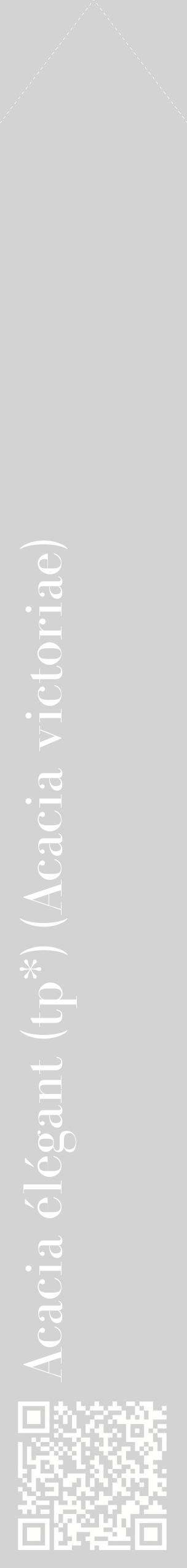 Étiquette de : Acacia victoriae - format c - style blanche56_simplebod avec qrcode et comestibilité