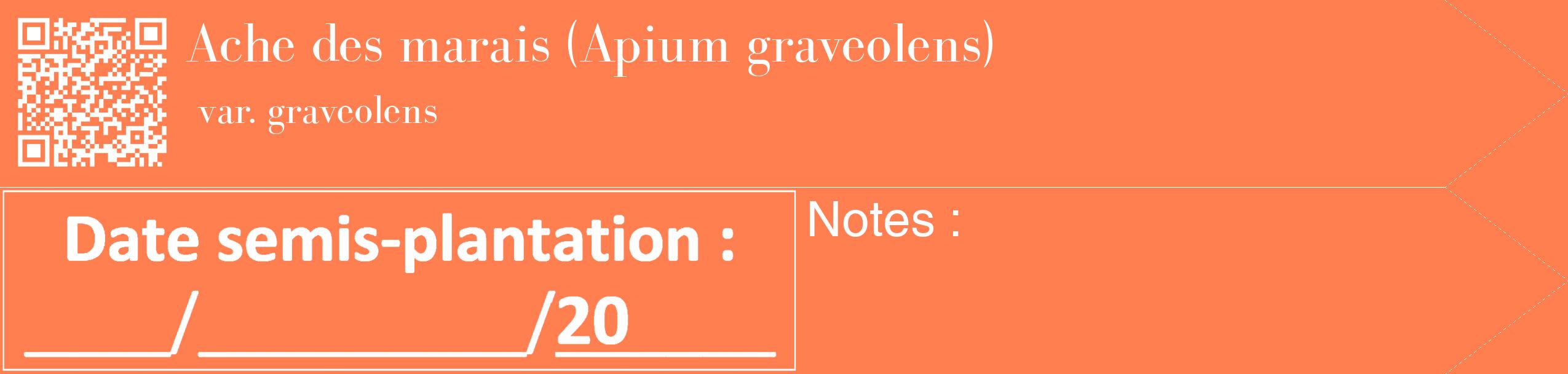 Étiquette de : Apium graveolens var. graveolens - format c - style blanche24_simple_simplebod avec qrcode et comestibilité