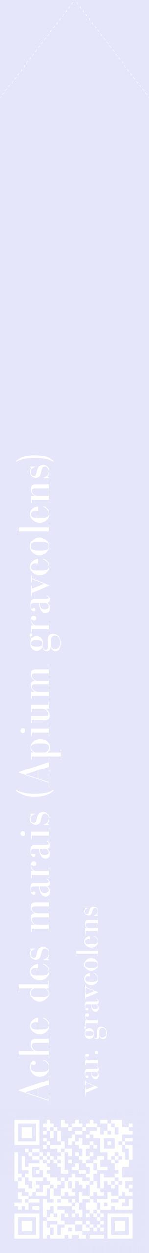 Étiquette de : Apium graveolens var. graveolens - format c - style blanche55_simplebod avec qrcode et comestibilité