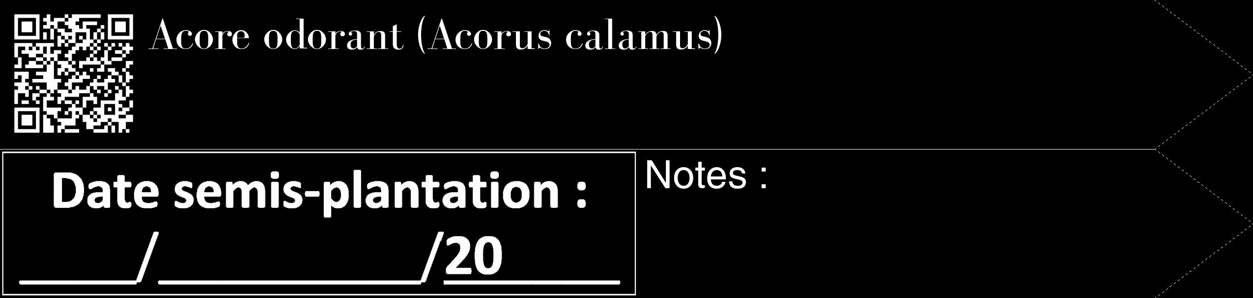 Étiquette de : Acorus calamus - format c - style blanche59_simple_simplebod avec qrcode et comestibilité