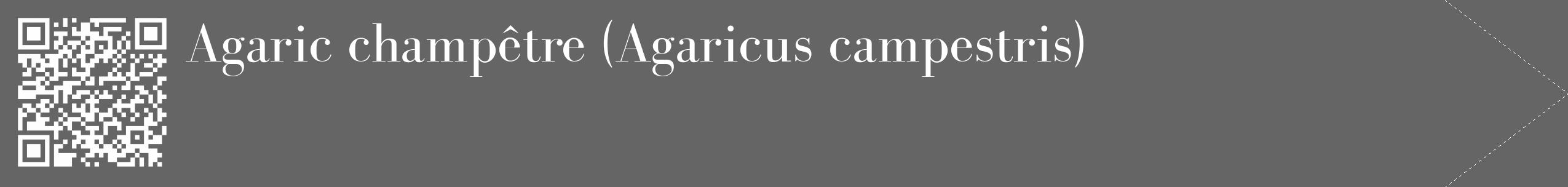 Étiquette de : Agaricus campestris - format c - style blanche32_simple_simplebod avec qrcode et comestibilité