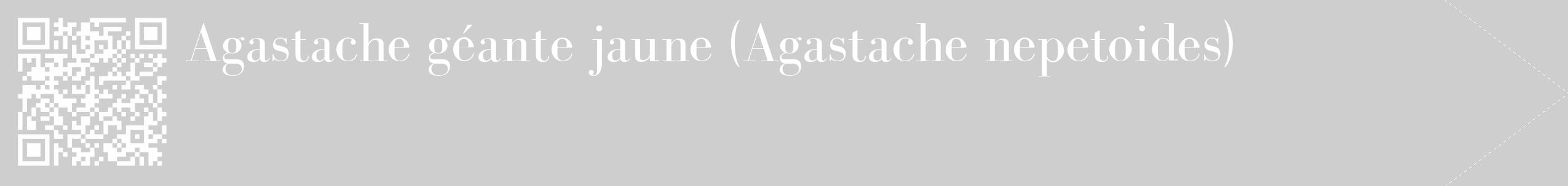 Étiquette de : Agastache nepetoides - format c - style blanche17_simple_simplebod avec qrcode et comestibilité