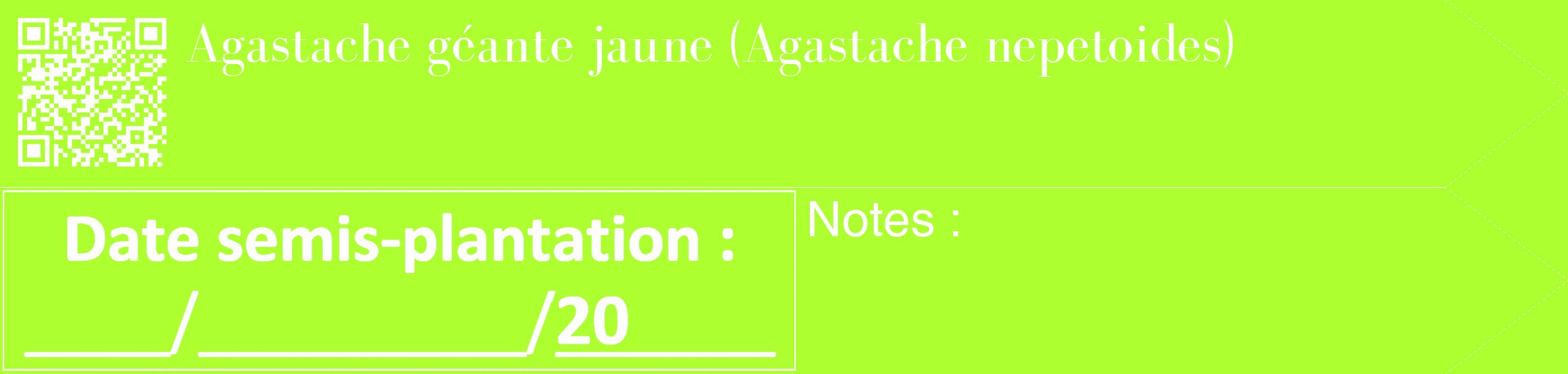 Étiquette de : Agastache nepetoides - format c - style blanche17_simple_simplebod avec qrcode et comestibilité
