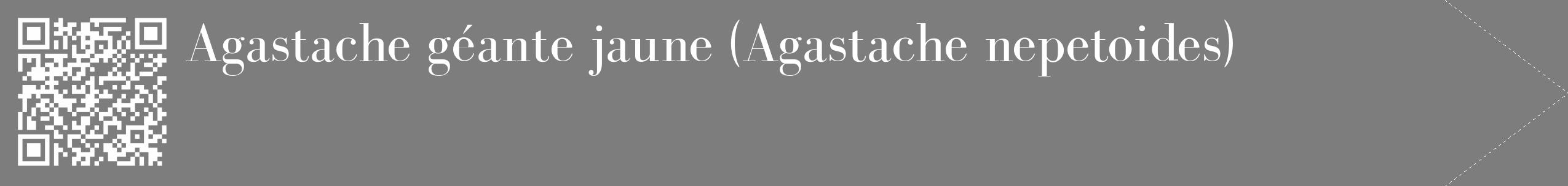Étiquette de : Agastache nepetoides - format c - style blanche35_simple_simplebod avec qrcode et comestibilité