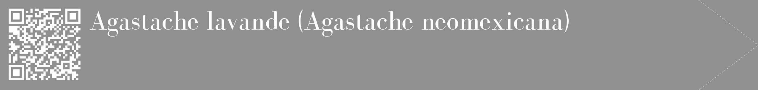 Étiquette de : Agastache neomexicana - format c - style blanche4_simple_simplebod avec qrcode et comestibilité
