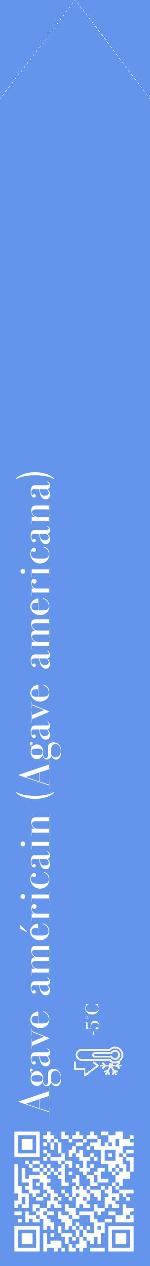 Étiquette de : Agave americana - format c - style blanche4_simple_simplebod avec qrcode et comestibilité - position verticale