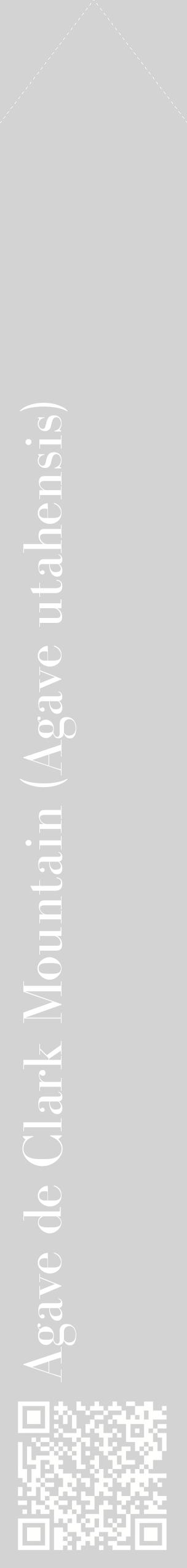 Étiquette de : Agave utahensis - format c - style blanche56_simplebod avec qrcode et comestibilité