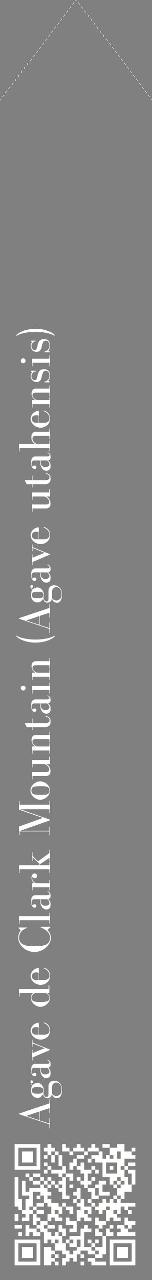 Étiquette de : Agave utahensis - format c - style blanche57_simplebod avec qrcode et comestibilité