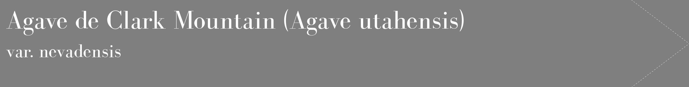 Étiquette de : Agave utahensis var. nevadensis - format c - style blanche31_simple_simplebod avec comestibilité