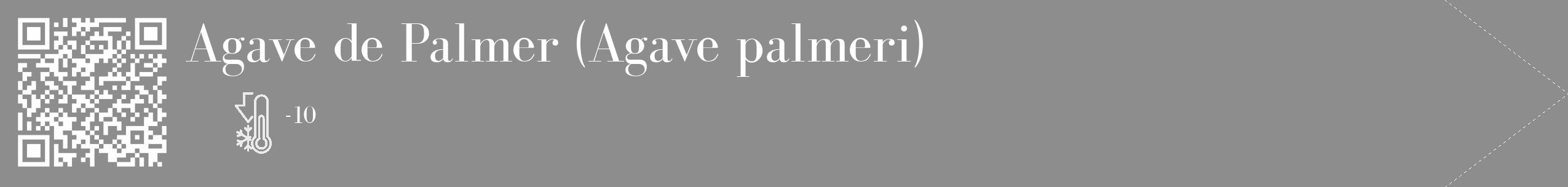 Étiquette de : Agave palmeri - format c - style blanche2_simple_simplebod avec qrcode et comestibilité