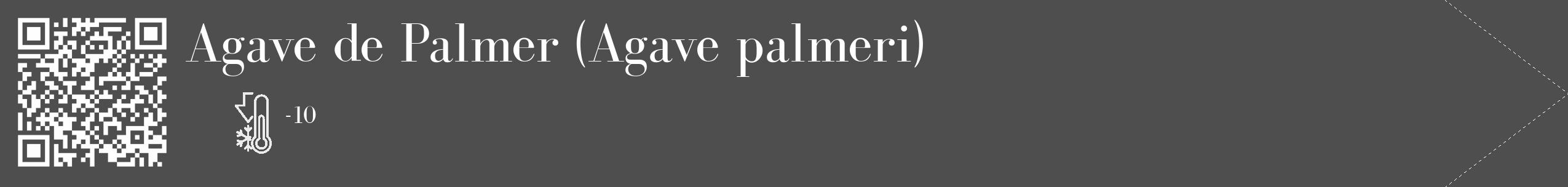 Étiquette de : Agave palmeri - format c - style blanche33_simple_simplebod avec qrcode et comestibilité