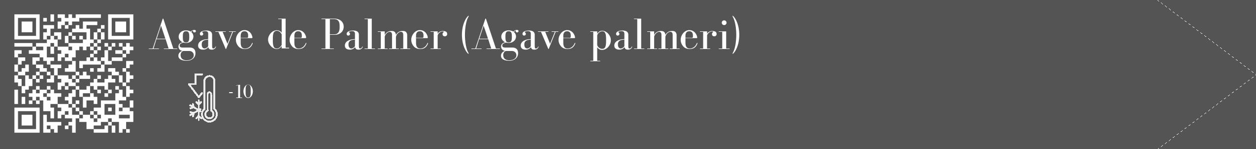 Étiquette de : Agave palmeri - format c - style blanche36_simple_simplebod avec qrcode et comestibilité