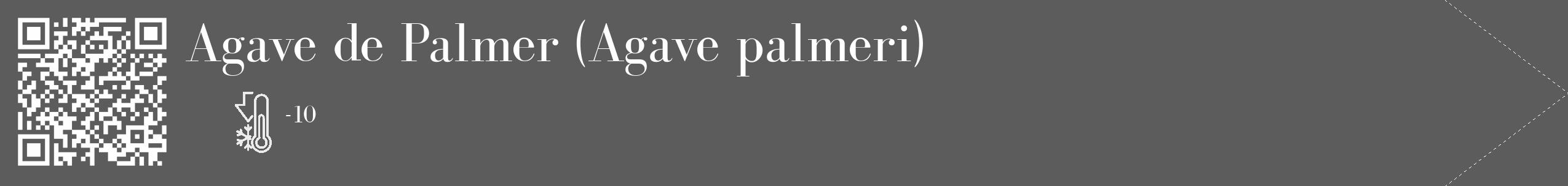 Étiquette de : Agave palmeri - format c - style blanche49_simple_simplebod avec qrcode et comestibilité