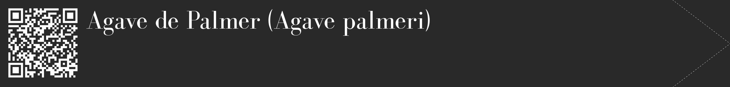 Étiquette de : Agave palmeri - format c - style blanche34_simple_simplebod avec qrcode et comestibilité