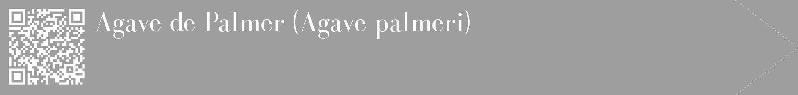 Étiquette de : Agave palmeri - format c - style blanche42_simple_simplebod avec qrcode et comestibilité